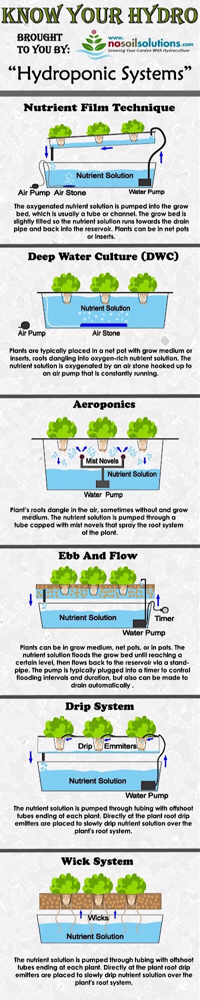 6 Different Types Of Hydroponic Systems infographic - NoSoilSolutions