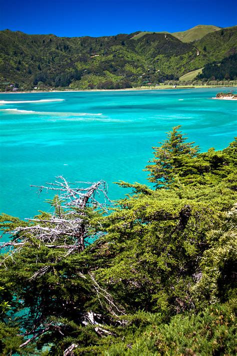 Abel Tasman Beaches 4 Photograph by Jonathan Hansen