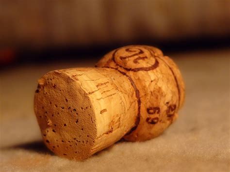 champagne cork Free Photo Download | FreeImages