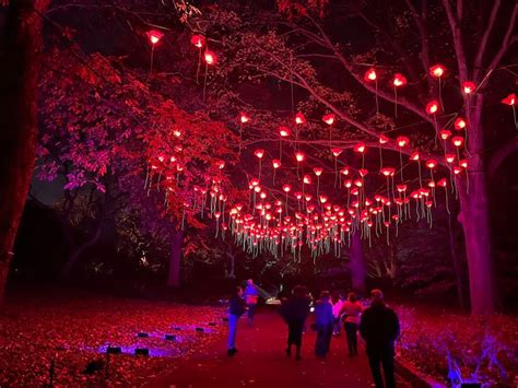 Brooklyn Botanic Garden’s ‘Lightscape’ illuminates the holiday season ...