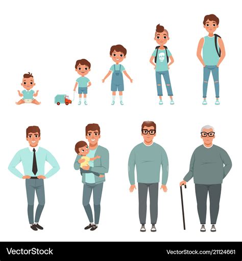 Life cycles of man stages growing up from baby Vector Image