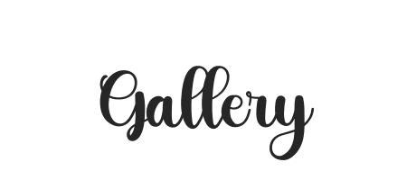 Gallery - Font Family (Typeface) Free Download TTF, OTF - Fontmirror.com