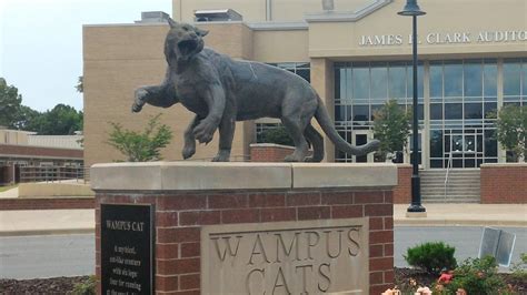 Real Wampus Cat