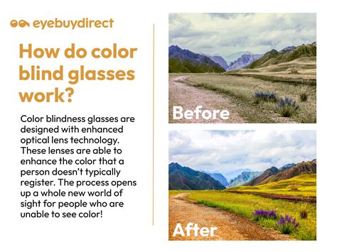 Can Color Blind Glasses Help You See Color? | Blog | Eyebuydirect