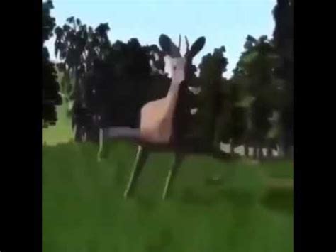 dancing deer meme - YouTube