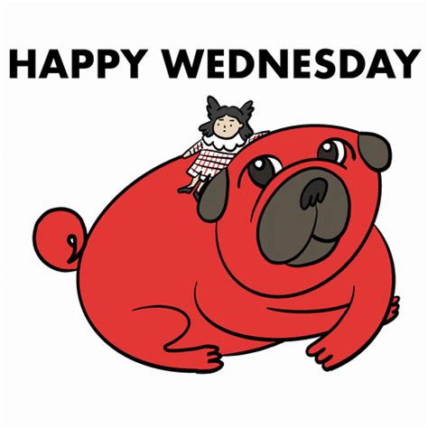 Happy Wednesday Giant Pug GIF | GIFDB.com