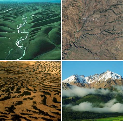 Spatial patterns that reflect a coevolving landscape. From top left... | Download Scientific Diagram