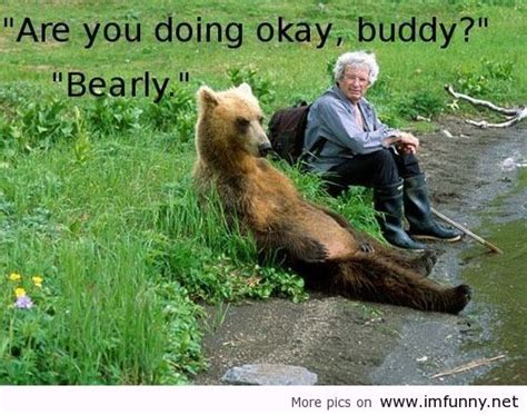 Funny Bear Quotes And Sayings. QuotesGram