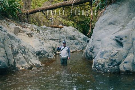 Tenkara Fishing (Everything You Need To Know) - FlyFisherPro