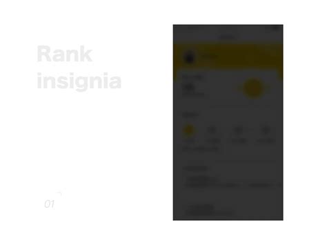 Rank insignia by weizai on Dribbble
