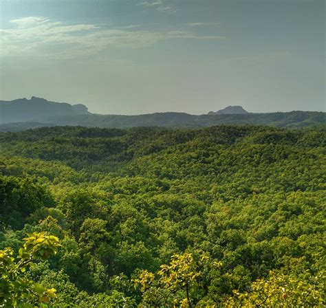 5 Best Waterfalls in Pachmarhi