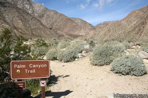 Borrego Palm Canyon Trail | Anza-Borrego Desert State Park | Hikespeak.com