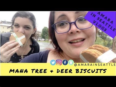 Zelda, Starbucks & Deer Biscuits in Nara, Japan | Amara In Seattle ...