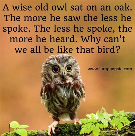 Inspirational Quotes With Owls. QuotesGram