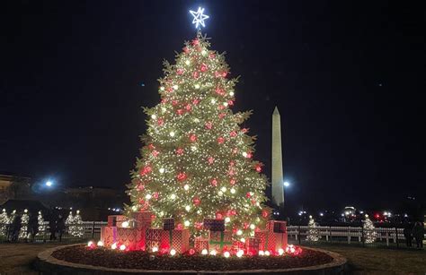 Washington DC's 2023 Christmas Activities - FemaleSoloTrek