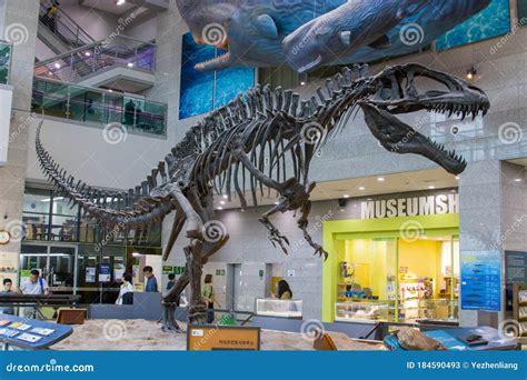 The Cast of Acrocanthosaurus Atokensis Fossil Editorial Stock Photo - Image of city, exhibition ...