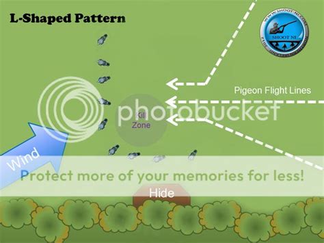 Pigeon decoy patterns