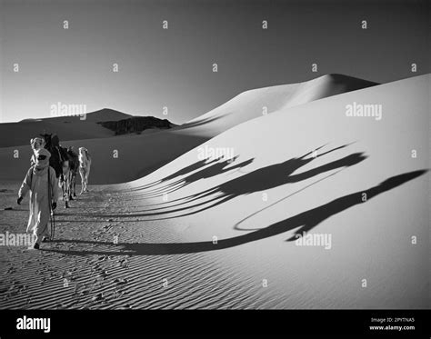 Algeria, near Djanet. Sahara desert. Men of Tuareg tribe. Camel caravan. Sand dunes. Black ...