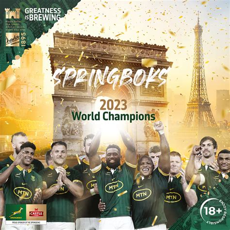 Springboks Victory - Rugby World Cup 2023 by Gerald Bedeker on Dribbble