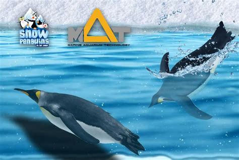 Ski Dubai Penguins Encounter LSS filtration - News | MAT LSS