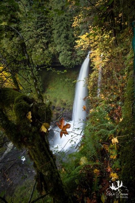 2024 Guide to North Falls, Oregon in Silver Falls State Park ⋆ We Dream ...