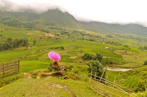 Sapa Mountains, Vietnam | Nature travel, Nature, Vacation trips