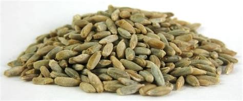 Organic Rye Berries - Grains - Cooking & Baking - Nuts.com