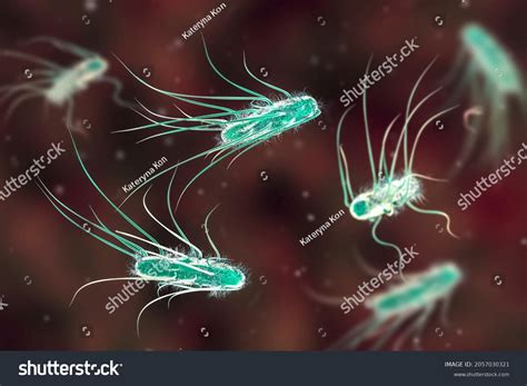 1,537 Escherichia Coli Bacterium 3d Illustration Images, Stock Photos & Vectors | Shutterstock