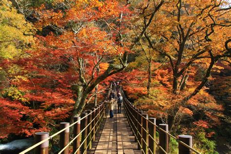 Fall in Ibaraki Prefecture, Japan : pics