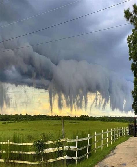 These are called Scud clouds : r/BeAmazed