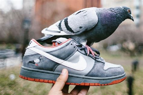 L'histoire de la Nike SB Dunk Low Pigeon - Le Site de la Sneaker