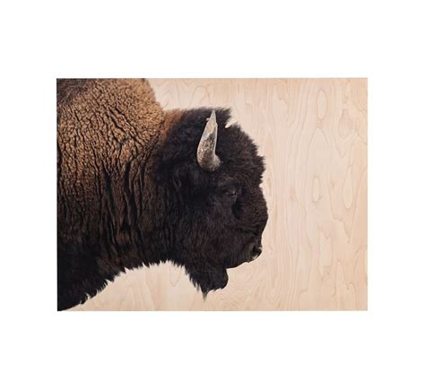 American Bison Wood Wall Art | Animal Art | Pottery Barn