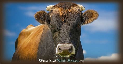 Bull & Ox Symbolism & Meaning | Spirit, Totem & Power Animal