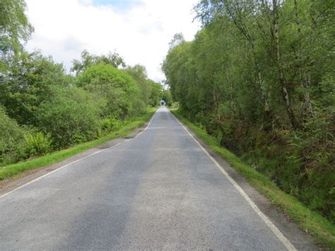 Tree-lined road (A861) at South Garvan © Peter Wood cc-by-sa/2.0 :: Geograph Britain and Ireland