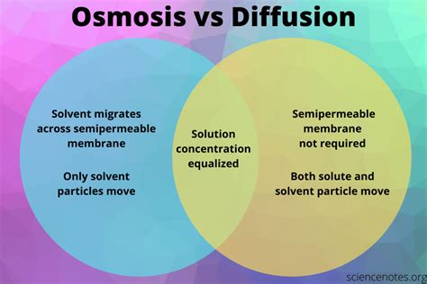 Osmosis vs Diffusion - Definition and Examples | Osmosis, Scientific method middle school ...