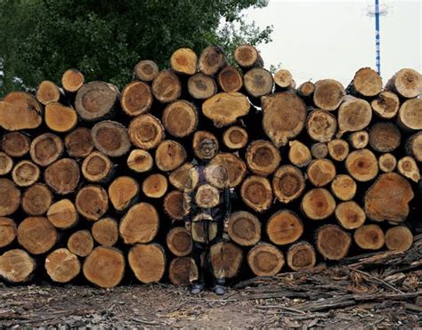 The invisible man: Liu Bolin's amazing camouflage artwork