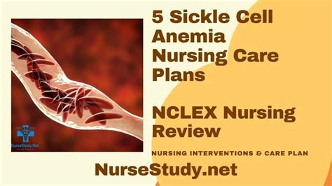 Sickle Cell Anemia Nursing Diagnosis & Care Plan - NurseStudy.Net