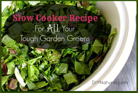 Recipe For Greens - A Delicious Way To Use ALL Your Garden Greens