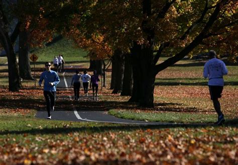 Where to see fall colors in Forest Park | FOX 2