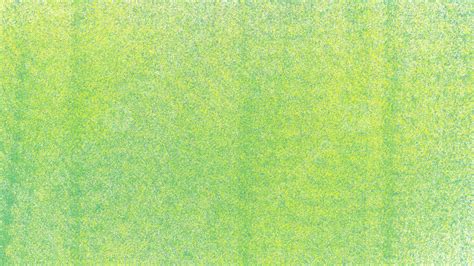 Light Green Grass Background, Light Green Grass, Light Green Background ...