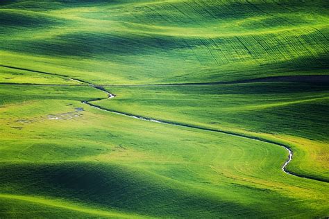 green grass field, 4k wallpaper, agriculture, country, countryside ...