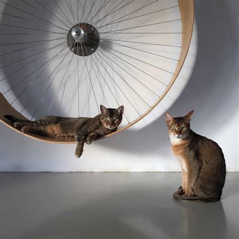 Holin Design The Cats Wall's Wheel - NoveltyStreet