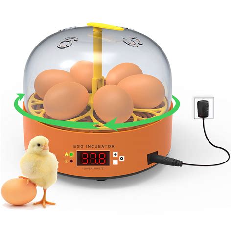 Buy Egg Incubator, 6 Eggs Hatcher Poultry Hatching Machine with ...