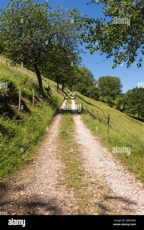 Landscape with hiking trails in the southern Black Forest near ...