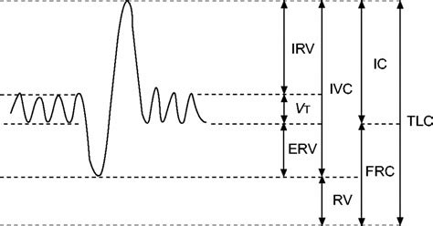 What is Inspiratory Reserve Volume and How is it Measured? | Treat, Cure Fast