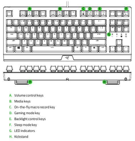 Razer BlackWidow V3 Tenkeyless | RZ03-03490 Support