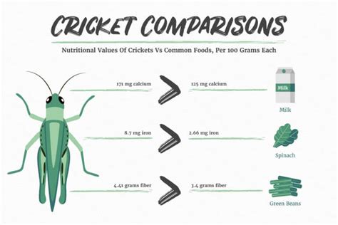 The surprising nutritional value from eating insects and bugs | My Five Fingers