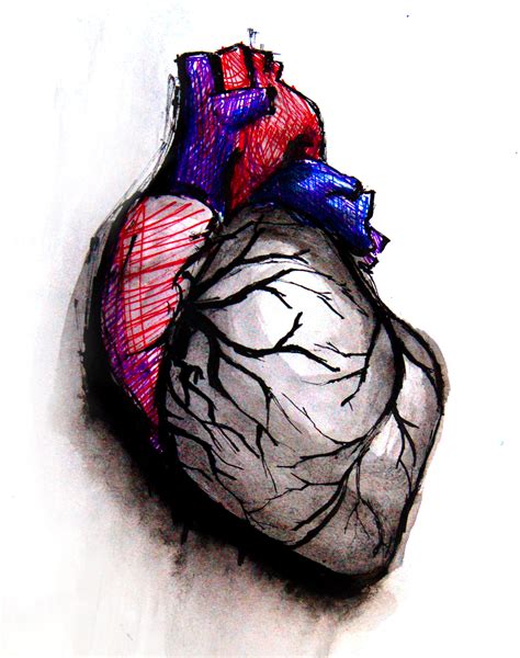 Heart Art | Page 6 | ECG Guru - Instructor Resources