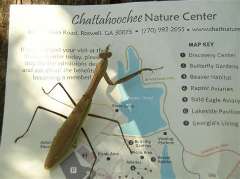 Chattahoochee Nature Center | Official Georgia Tourism & Travel Website ...