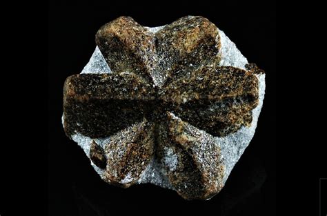 Staurolite Mother Earth, Geology, Online Jewelry, Fossil, Jewelry ...